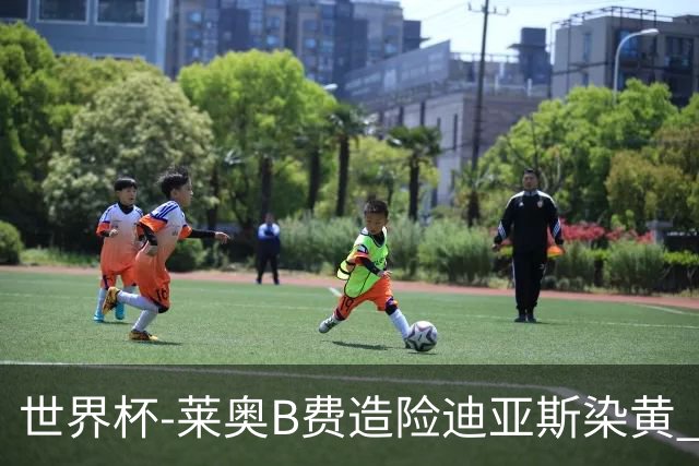 世界杯-莱奥B费造险迪亚斯染黄 半场葡萄牙0-0克罗地亚